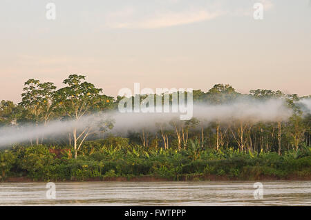 Amazon rainforest: Expedition by boat along the Amazon River near Iquitos, Loreto, Peru. Navigating one of the tributaries of the Amazon to Iquitos about 40 kilometers near the town of Indiana. Morning mist. Stock Photo