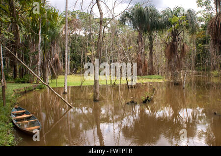 A boat in a flooded area near the Explorama Explorama Lodge about 80km from Iquitos near the town of Indiana, Iquitos, Loreto, Peru. Stock Photo