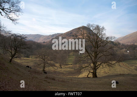 A spring day Helm Crag above Easedale Grasmere Lake District Cumbria England Stock Photo