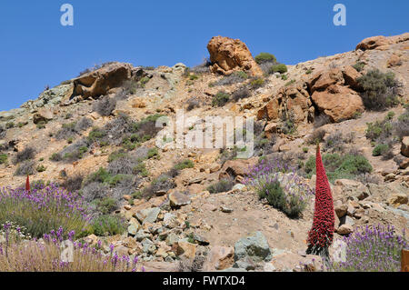 Rocky mount in the island of Tenerife Stock Photo
