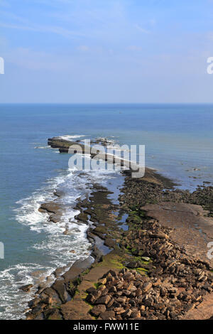 Walkers on Filey Brigg natural rock promontory, Filey, North Yorkshire ...