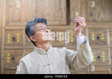 Senior Chinese doctor checking medicinal herbs Stock Photo