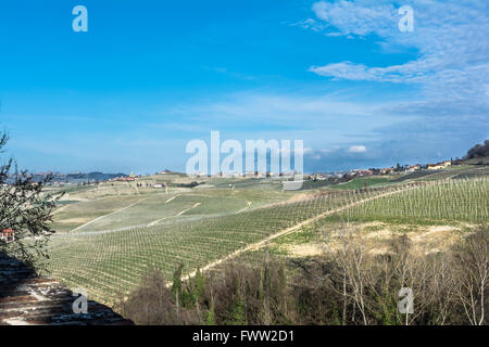 Vineyards in Langhe Roero region, Italy Stock Photo