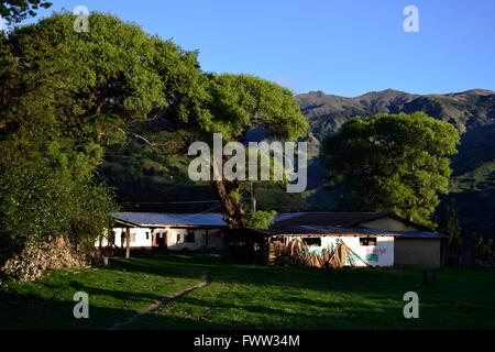 Typical house in Sapalache ' Las Huaringas '  - HUANCABAMBA.. Department  of Piura .PERU Stock Photo