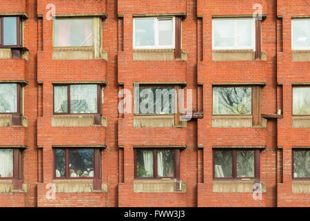 Several windows in row on facade of urban apartment building front view, St. Petersburg, Russia Stock Photo