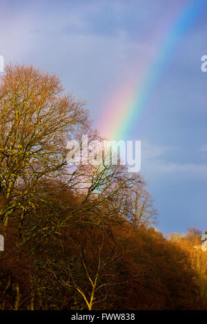 Rainbow in a stormy sky, Northamptonshire Stock Photo