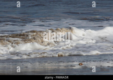 Breaking waves along the shoreline, Norfolk Stock Photo