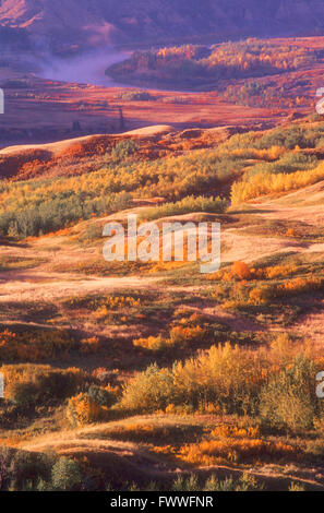 Dry Island Buffalo Jump Provincial Park In Autumn, Alberta, Canada Stock Photo