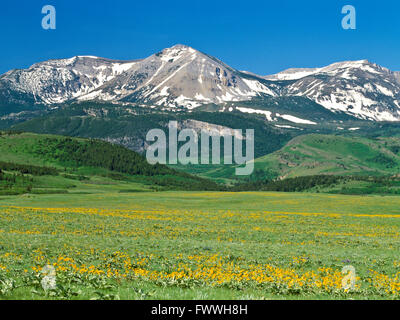 rocky mountain front in the badger creek basin near heart butte, montana Stock Photo