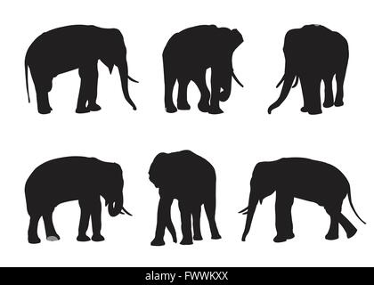 Elephant Set Silhouettes on the white background Stock Vector