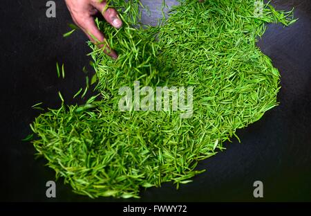 Xuan'en, China's Hubei Province. 7th Apr, 2016. A worker stirs tea leaves in a cooking pot at high temperature in Zhongcunba Village of Xuan'en County, central China's Hubei Province, April 7, 2016. © Song Wen/Xinhua/Alamy Live News Stock Photo