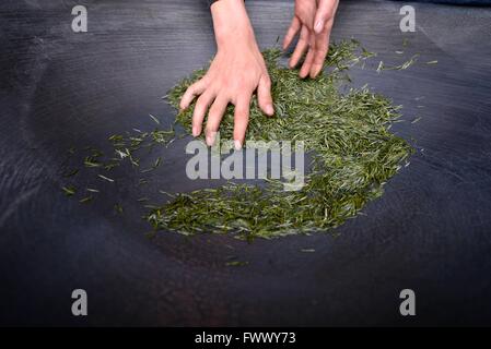 Xuan'en, China's Hubei Province. 7th Apr, 2016. A worker dries tea leaves in a cooking pot in Zhongcunba Village of Xuan'en County, central China's Hubei Province, April 7, 2016. © Song Wen/Xinhua/Alamy Live News Stock Photo