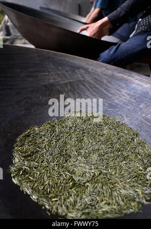 Xuan'en, China's Hubei Province. 7th Apr, 2016. A worker dries tea leaves in a cooking pot in Zhongcunba Village of Xuan'en County, central China's Hubei Province, April 7, 2016. © Song Wen/Xinhua/Alamy Live News Stock Photo
