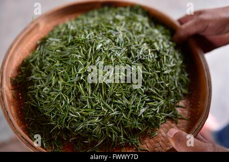 Xuan'en, China's Hubei Province. 7th Apr, 2016. A worker airs tea leaves in a cooking pot in Zhongcunba Village of Xuan'en County, central China's Hubei Province, April 7, 2016. © Song Wen/Xinhua/Alamy Live News Stock Photo