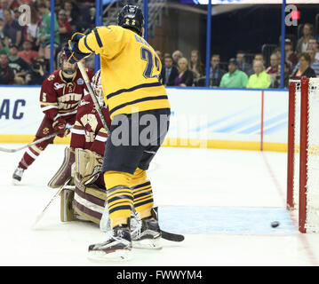 Tampa, Florida, USA. 7th Apr, 2016. DIRK SHADD | Times .Boston College Eagles goalie Thatcher Demko (30) gets beat as Quinnipiac Bobcats score the first goal of the game during the Frozen Four semifinals at Amalie Arena on Thursday (04/07/16) © Dirk Shadd/Tampa Bay Times/ZUMA Wire/Alamy Live News Stock Photo