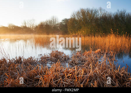 Barton-upon-Humber, Lincolnshire, UK. 8th April, 2016. Mist rising from a nature reserve pond on a sunny spring morning. Barton-upon-Humber, North Lincolnshire, UK. 8th April 2016. Credit:  LEE BEEL/Alamy Live News Stock Photo