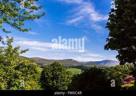 A view near Penrhyn Castle. Stock Photo