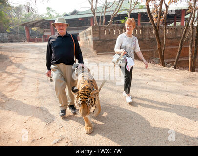 Couple walking a tiger through temple grounds at Tiger Temple in Northern Thailand at Wat Pa Luang Ta Bowa Yannasampanno Stock Photo