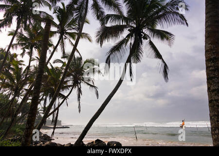 Stilt fishermen in the ocean, Weligama, Sri Lanka Stock Photo