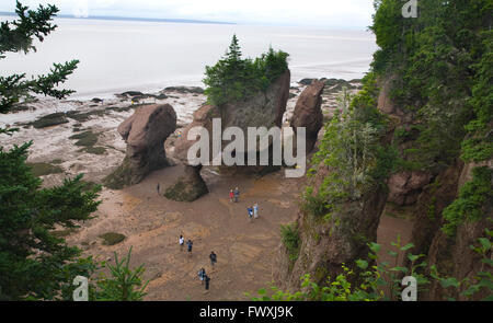 View of Hopewell Rocks in the Bay of Fundy Stock Photo
