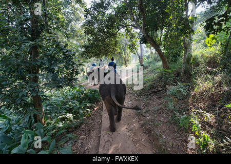 Tourists elephant trekking in northern Thailand