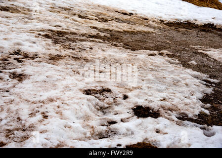 dirty snow in the garden Stock Photo