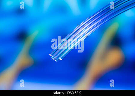fiber optical network cable Stock Photo