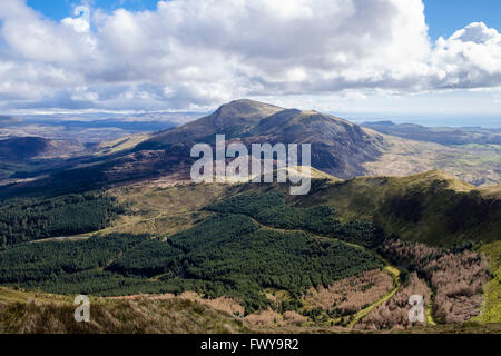 View south across Beddgelert forest to Moel Hebog from Mynydd Drws-y-Coed on Nantlle Ridge in mountains of Snowdonia Wales UK Stock Photo