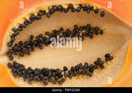 Sliced papaya fruit (Carica papaya) with seeds, Fuerteventura, Canary Islands, Spain Stock Photo