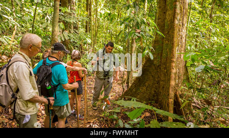 OSA PENINSULA, COSTA RICA - Naturalist guide with eco-tourists in rain forest on hike. Stock Photo