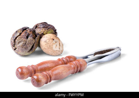Autumn still life consisting of three walnuts and a nut-cracker. Stock Photo