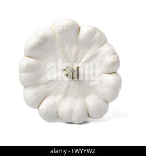 Nice fresh raw pettypan isolated on white background. Stock Photo