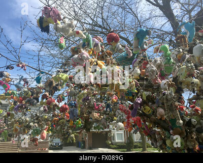 New York, USA. 06th Apr, 2016. The cherry tree Eugene Fellner has decorated with stuffed animals in front of his house in the borough of Brooklyn in New York, USA, 06 April 2016. Fellner attached 1,200 stuffed animals to the tree. The result is a whimsical piece of art that fascinates children and arouses anger from Fellner's neighbors. Photo: Johannes Schmitt-Tegge/dpa/Alamy Live News Stock Photo