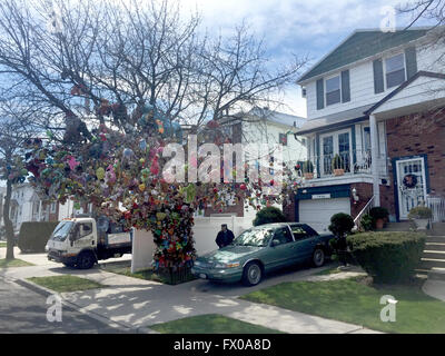 New York, USA. 06th Apr, 2016. The cherry tree Eugene Fellner has decorated with stuffed animals seen in front of his house in the borough of Brooklyn in New York, USA, 06 April 2016. Fellner attached 1,200 stuffed animals to the tree. The result is a whimsical piece of art that fascinates children and arouses anger from Fellner's neighbors. Photo: Johannes Schmitt-Tegge/dpa/Alamy Live News Stock Photo