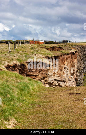 Landslide at Fox Cove, Treyarnon, Constantine. The Cliffs Slowly collapsing into the Celtic Sea over the years on the North Coast of Cornwall. Credit:  Barry Bateman / Alamy Live News Stock Photo