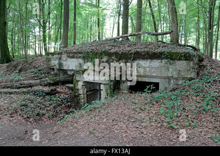 The Abri du Kronprinz German bunkers, near Varennes-en-Argonne, Meuse ...