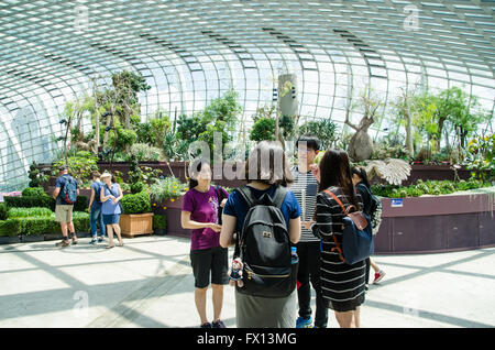 Singapore ,April 4 -2016 Unidentified of tourist  see forest and  plant in environment dome  Garden by the Bay famous place in Stock Photo