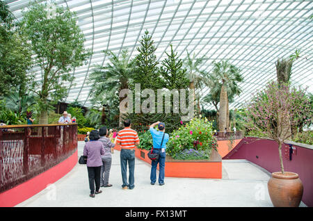 Singapore ,April 4 -2016 Unidentified of tourist  see forest and  plant in environment dome  Garden by the Bay famous place in Stock Photo