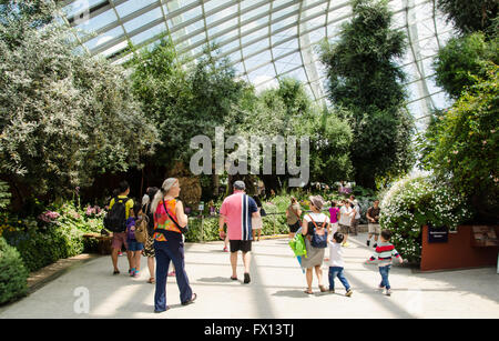 Singapore ,April 4 -2016 Unidentified of tourist  see forest and  plant in environment dome  Garden by the Bay famous place in Stock Photo