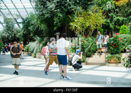 Singapore ,April 4 -2016 Unidentified of tourist  see forest and  plant in environment dome  Garden by the Bay famous place in Stock Photo