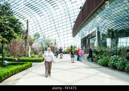 Singapore ,April 4 -2016 Unidentified of tourist  see forest and  plant in environment dome  Garden by the Bay famous place in Stock Photo