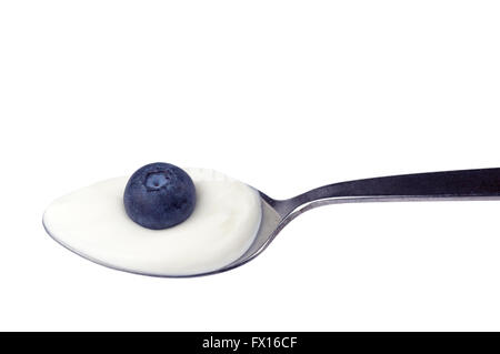 Blueberry on spoonful of Greek yogurt Stock Photo