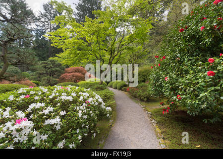 Garden Path at Portland Japanese Garden in Spring Season Stock Photo