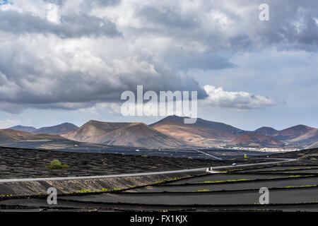 Typical grape cultivation in La Geria area on Lanzarote island under magnificent clouds, Canary Islands, Spain Stock Photo