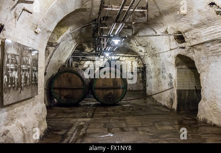 oak barrels with original Pilsner, unpasteurised and unfiltered in cellars of Pilsner Urquell Brewery in Pilsen, Czech Republic Stock Photo