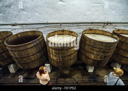 Wooden open fermentation barrels in the historical cellars of Pilsner Urquell Brewery in Pilsen city, Czech Republic Stock Photo