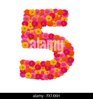 number 5  made from Zinnias flowers Stock Photo