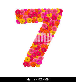 Numbers 7 made from Zinnias flowers Stock Photo