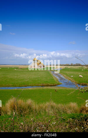 Spring at St Thomas à Becket Church in Fairfield which stands alone in a field on the Romney Marsh in Kent Stock Photo