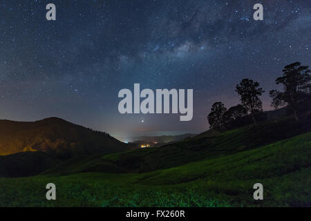 Milky way star and Tea plantation in Cameron highlands, Malaysia Stock Photo
